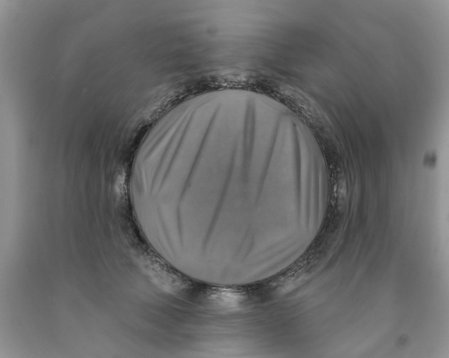 X0000091290610200709071033