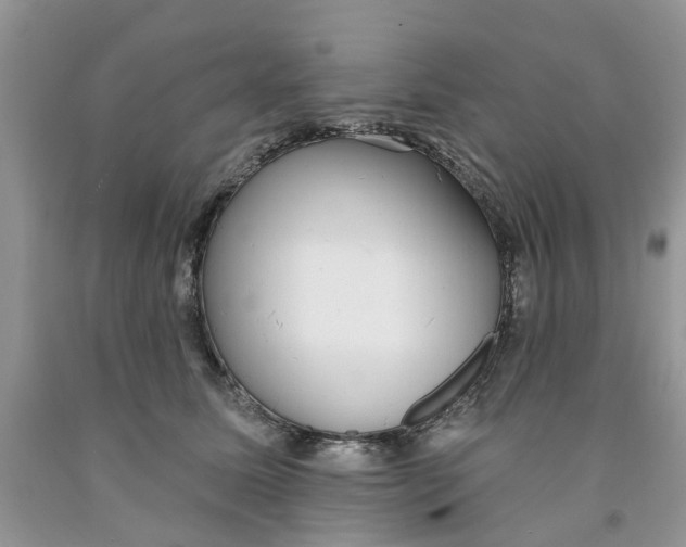 X0000091290611200709071033