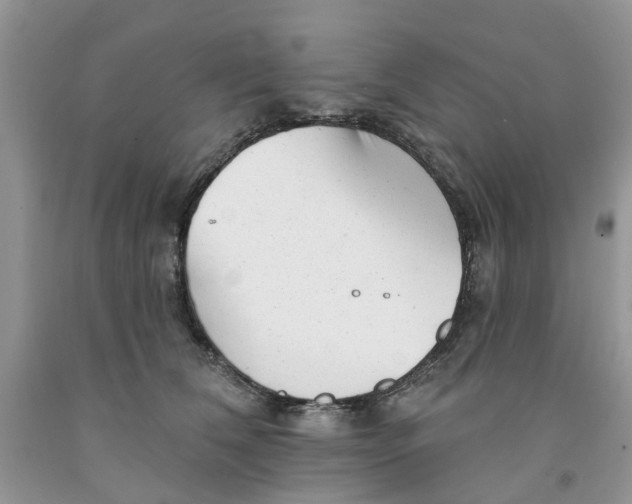 X0000091290612200709071033