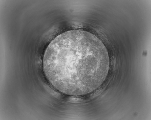 X0000091290614200709071033