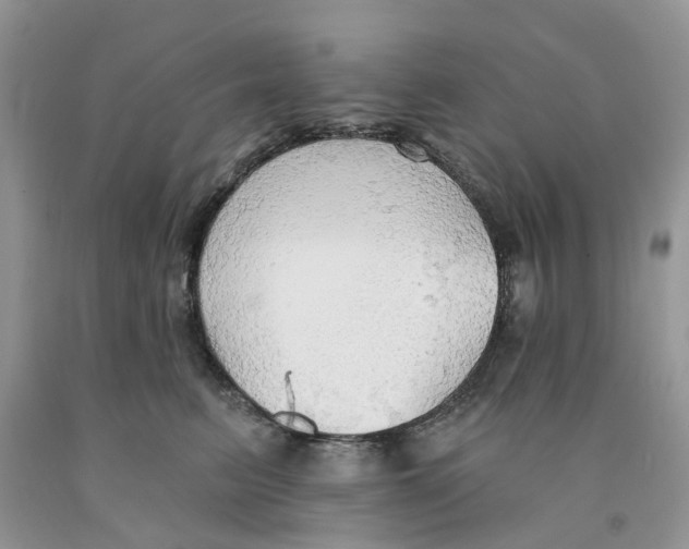 X0000091290615200709071033