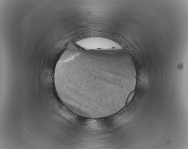 X0000091290616200709071033