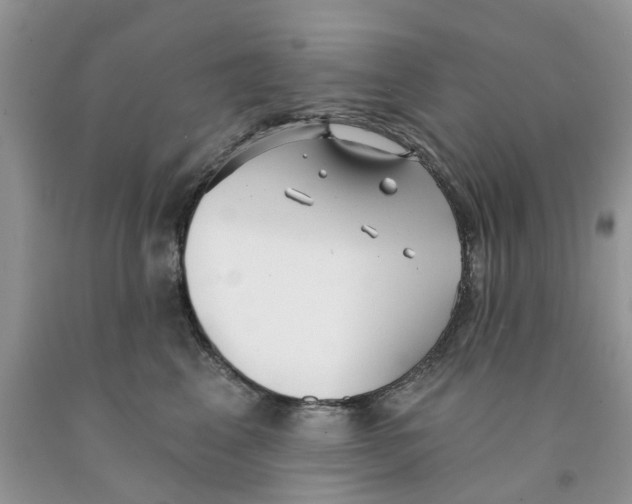 X0000091290617200709071033