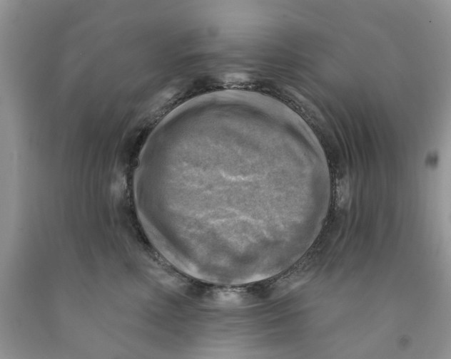 X0000091290618200709071033