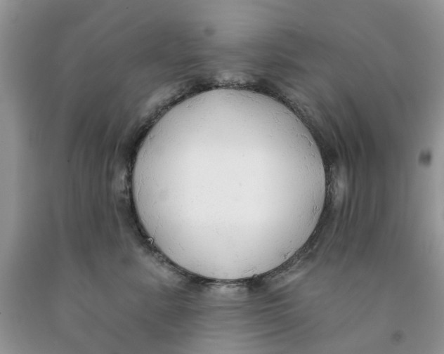 X0000091290619200709071033