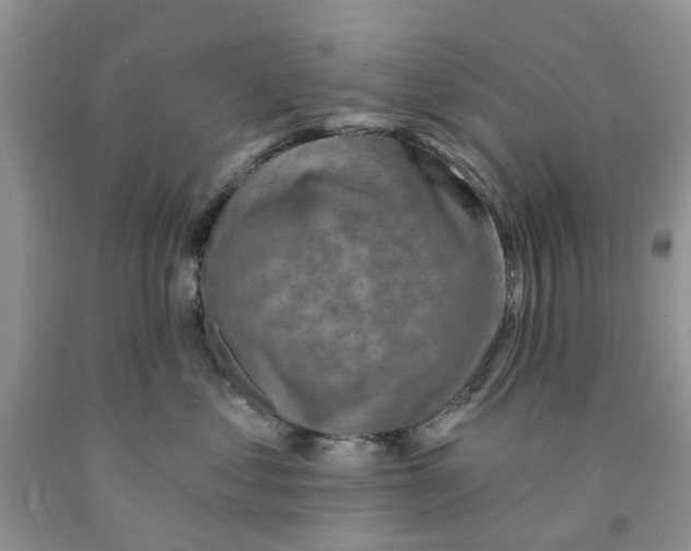 X0000091290621200709071033