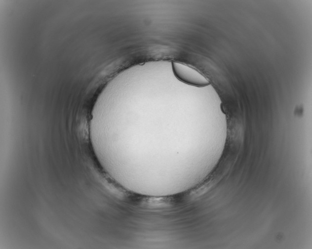 X0000091290622200709071033