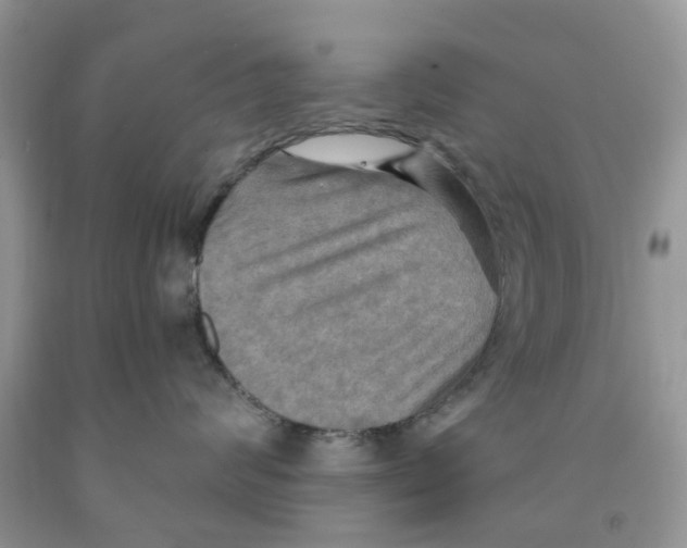 X0000091290624200709071033