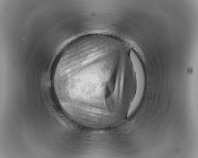 X0000091290628200709071033