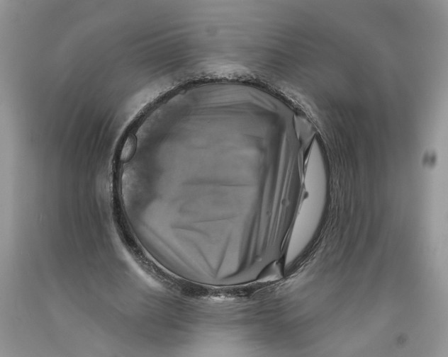 X0000091290630200709071033