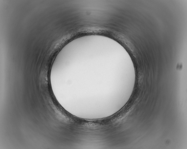 X0000091290633200709071033