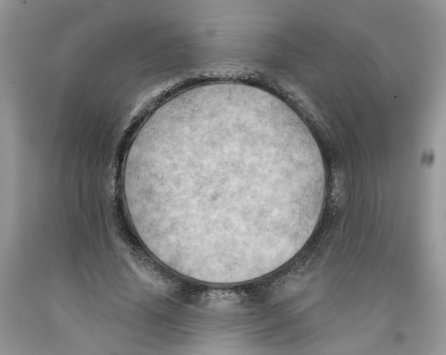 X0000091290636200709071033