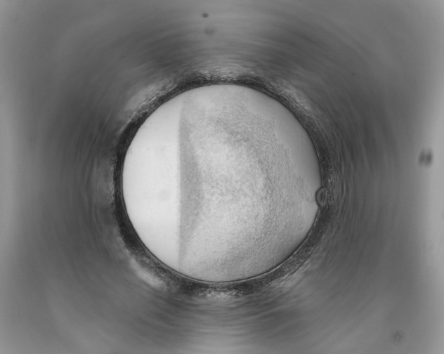 X0000091290638200709071033