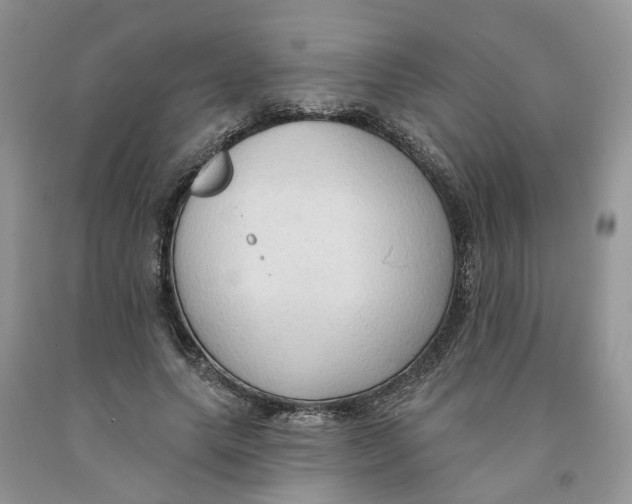 X0000091290639200709071033