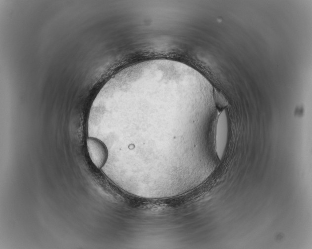 X0000091290642200709071033