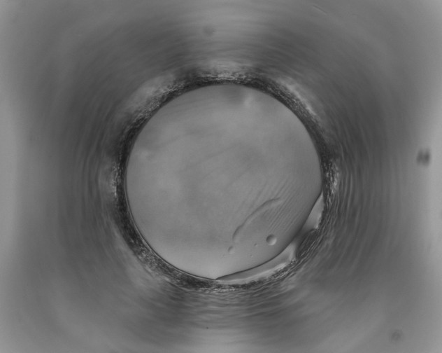 X0000091290643200709071033