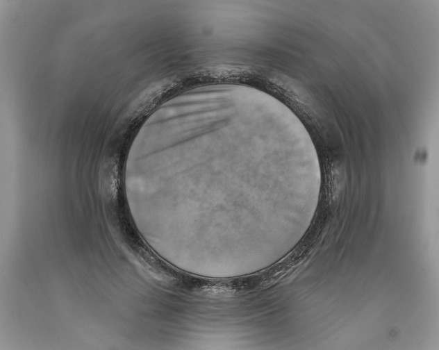 X0000091290644200709071033