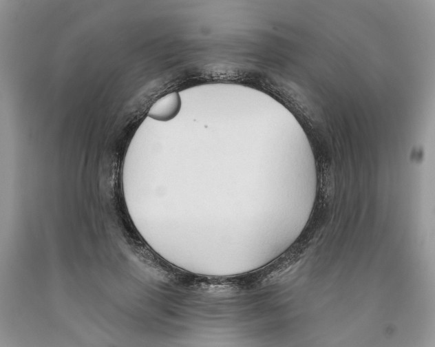 X0000091290645200709071033