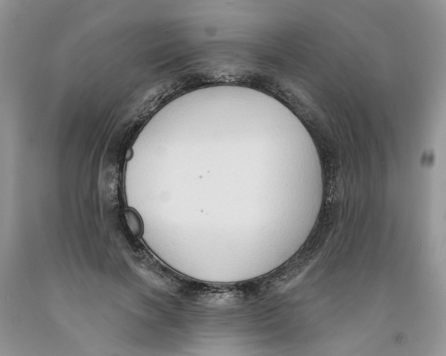 X0000091290646200709071033