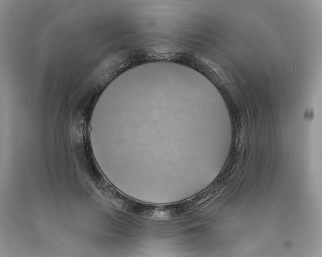 X0000091290647200709071033