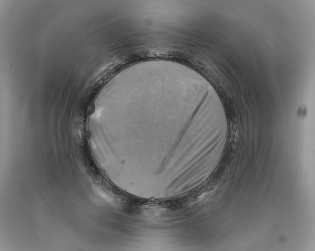 X0000091290648200709071033