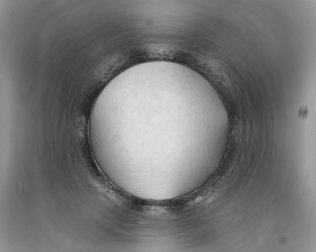 X0000091290649200709071033