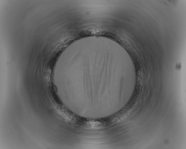 X0000091290650200709071033