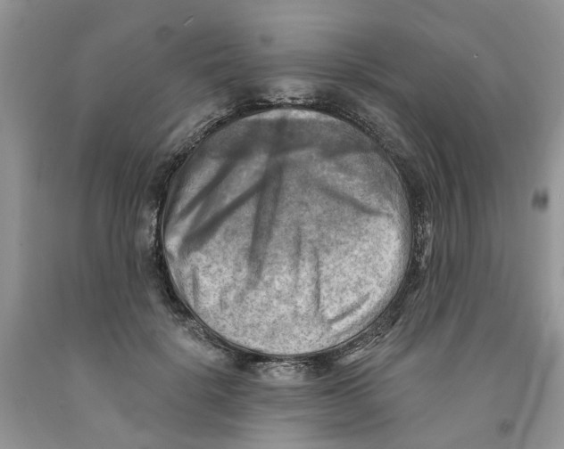 X0000091290652200709071033