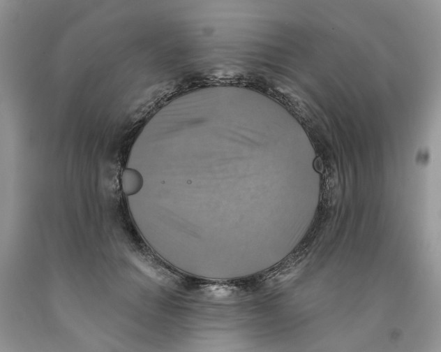 X0000091290654200709071033