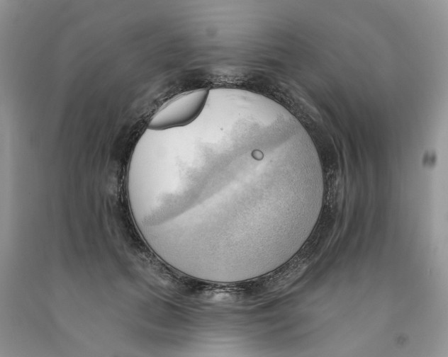 X0000091290655200709071033