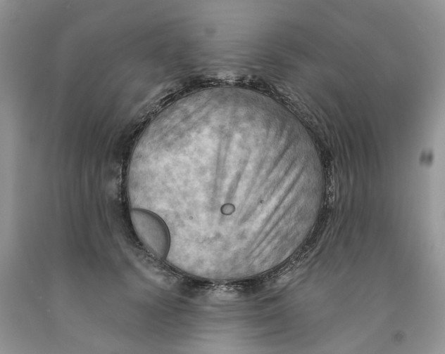 X0000091290656200709071033