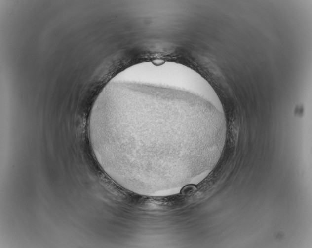 X0000091290657200709071033