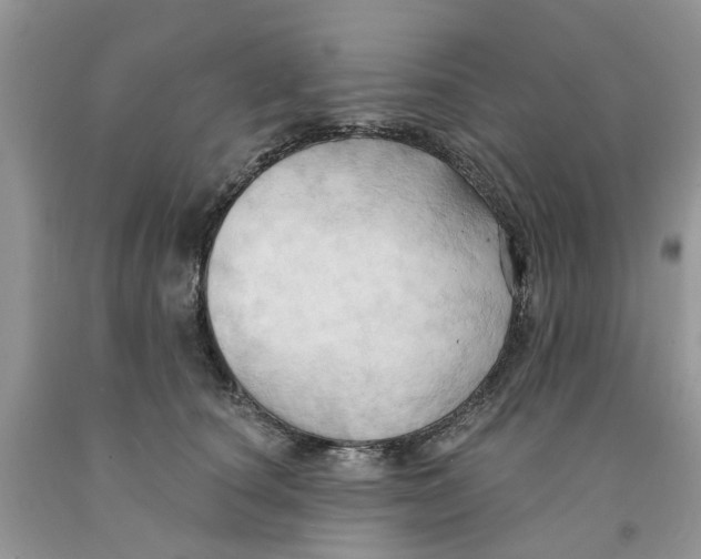 X0000091290660200709071033