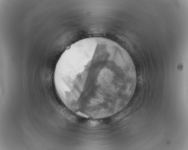 X0000091290662200709071033