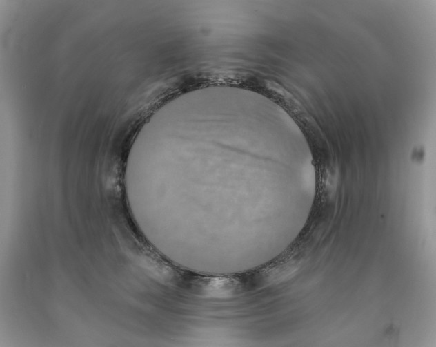 X0000091290663200709071033