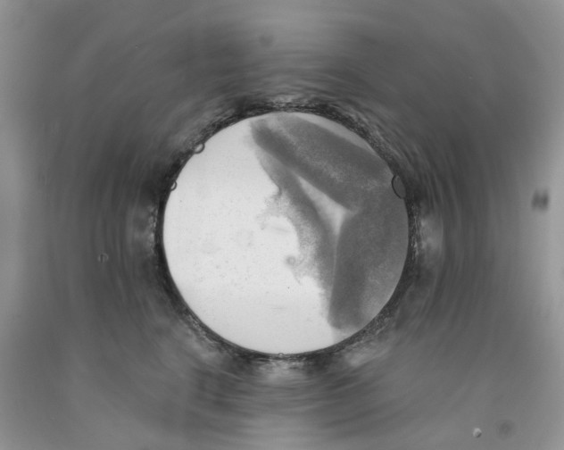 X0000091290664200709071033