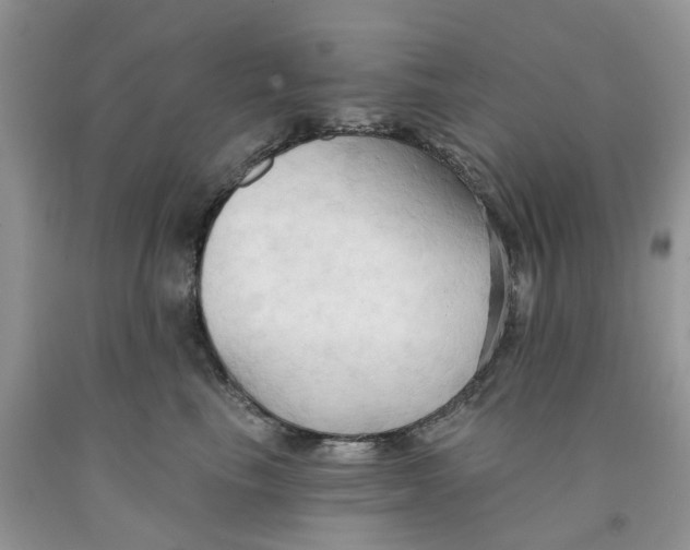 X0000091290665200709071033