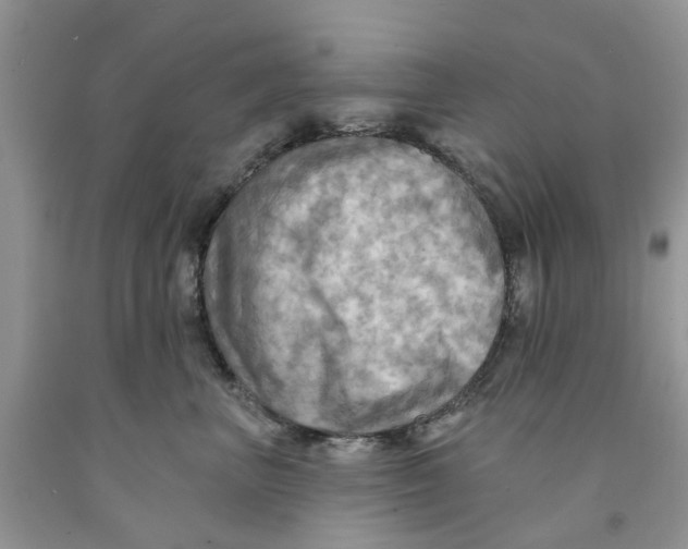 X0000091290667200709071033