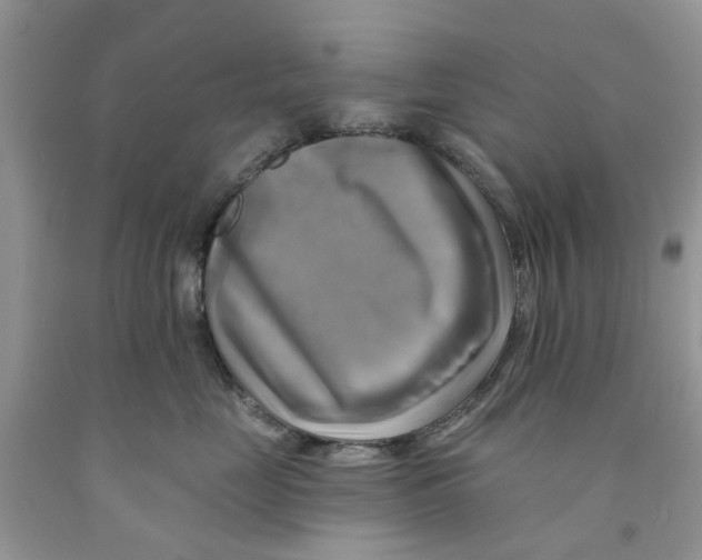 X0000091290669200709071033