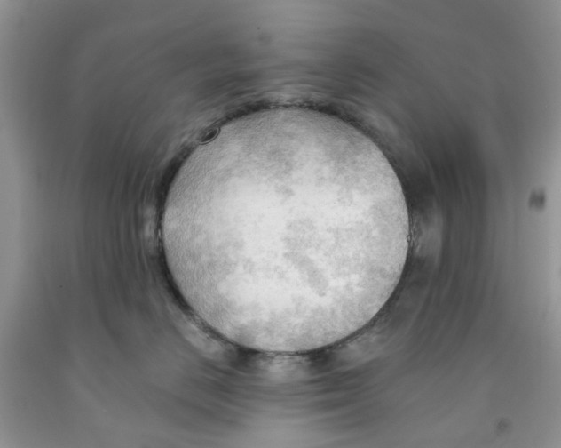 X0000091290670200709071033