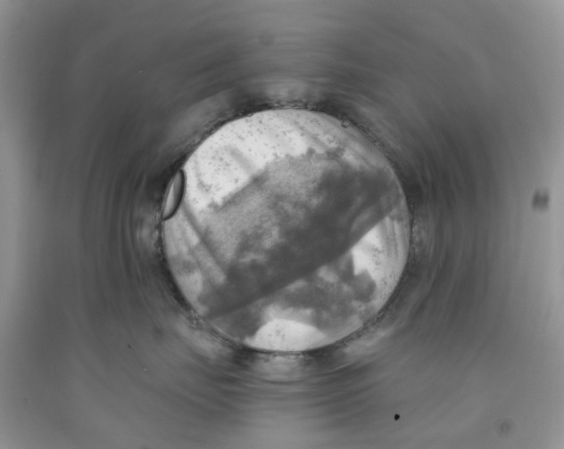 X0000091290671200709071033