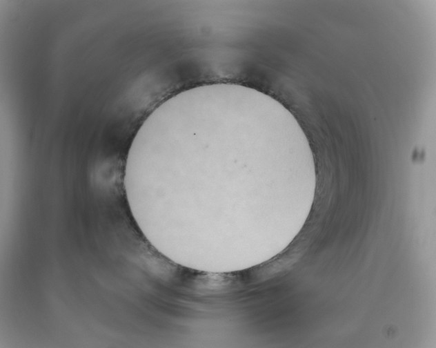 X0000091290672200709071033