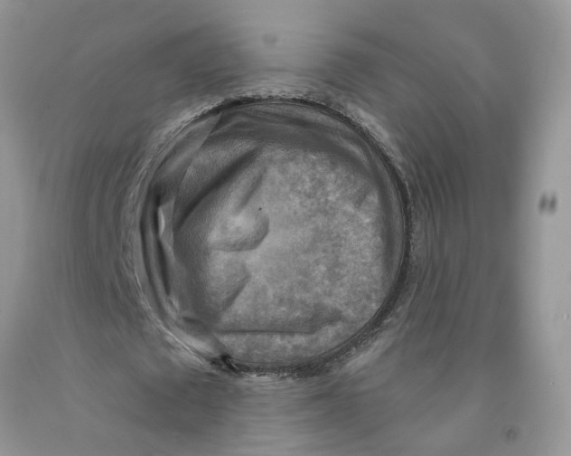 X0000091290673200709071033