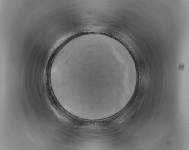 X0000091290674200709071033