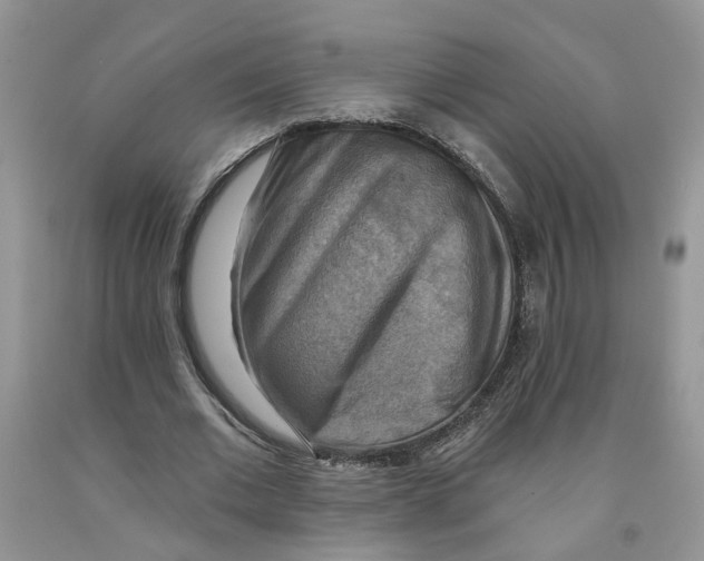 X0000091290677200709071033