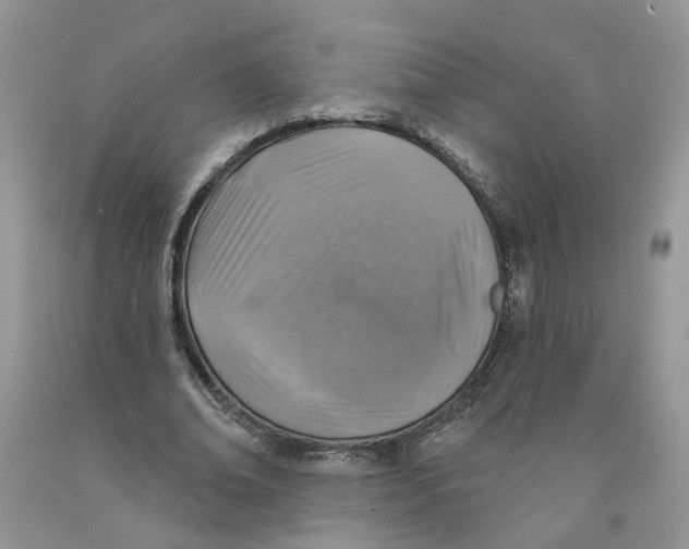 X0000091290678200709071033