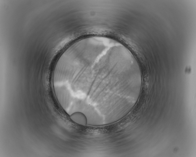 X0000091290679200709071033