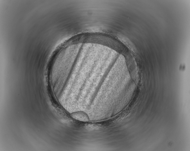 X0000091290680200709071033