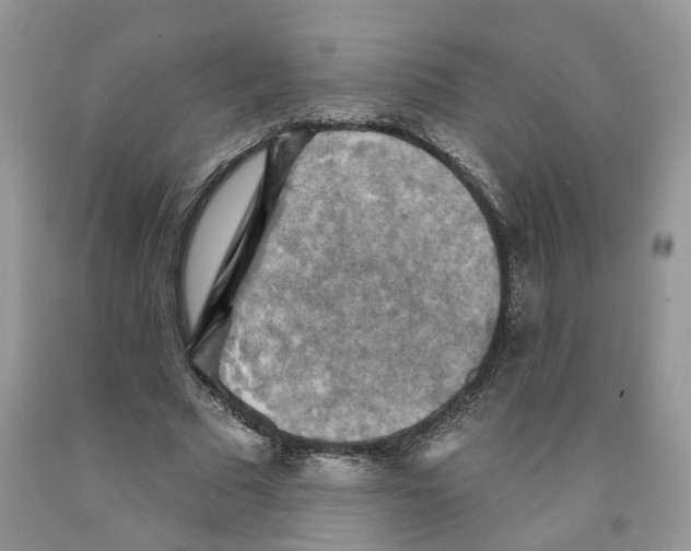 X0000091290681200709071033