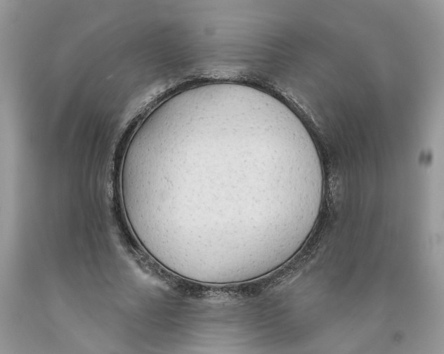 X0000091290682200709071033